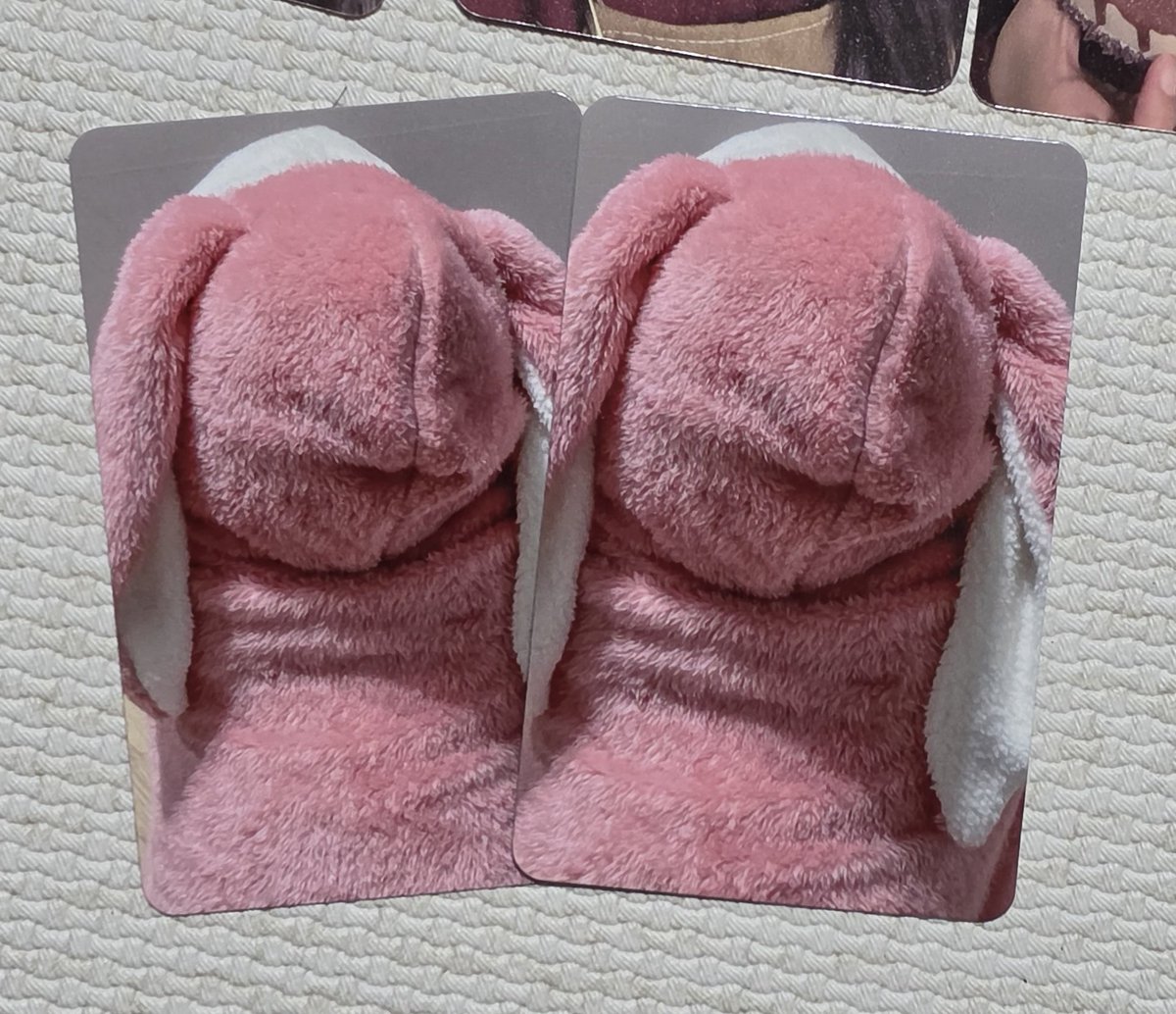 🐶무럭🍀 tweet media