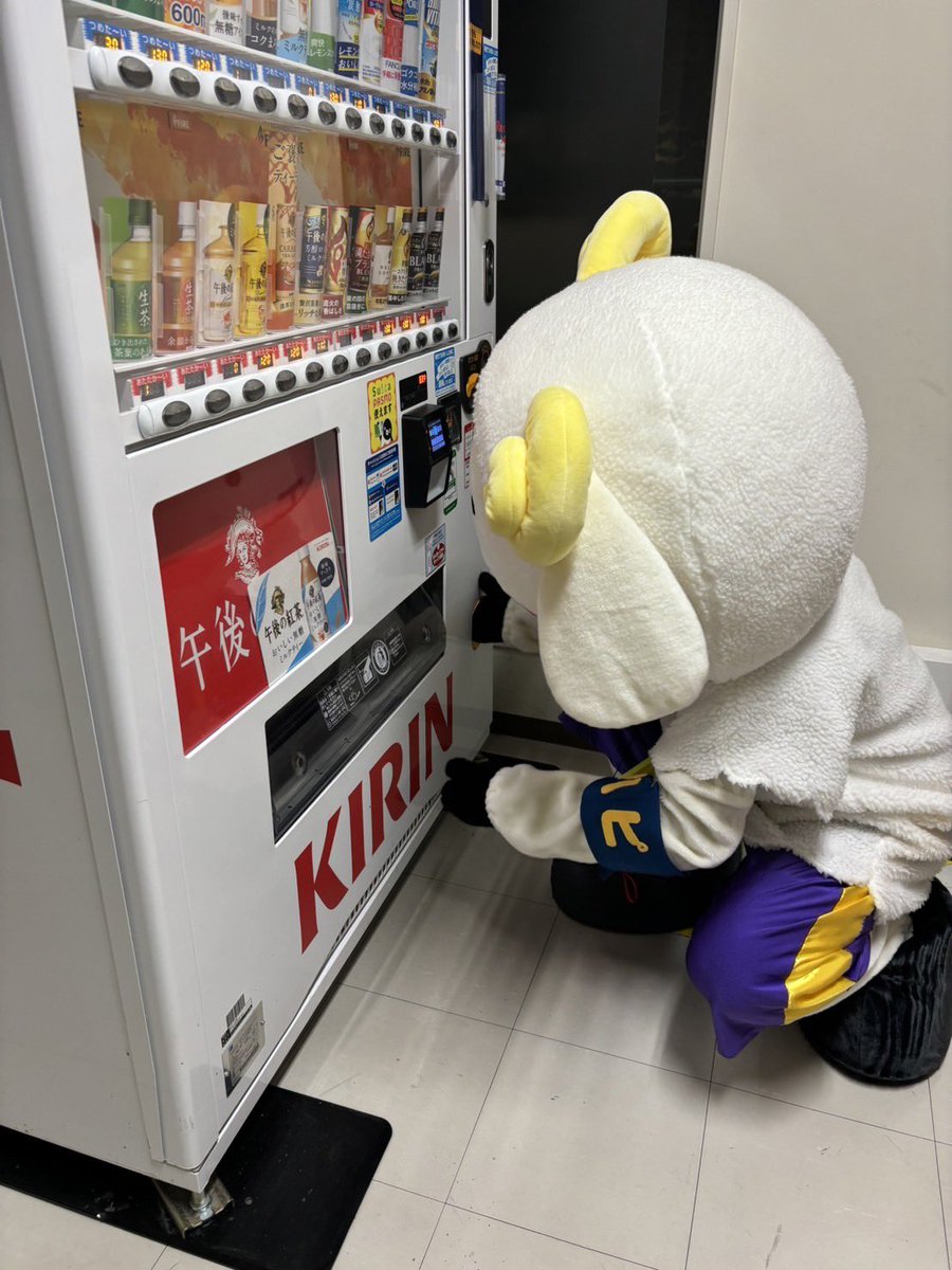 ハピ 【Lamb Love Choppers】 tweet media