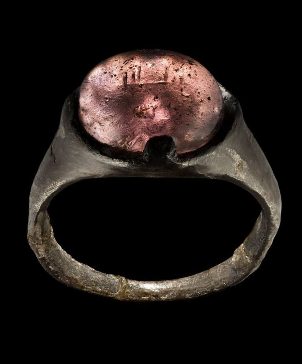 Celebs Arabic tweet media