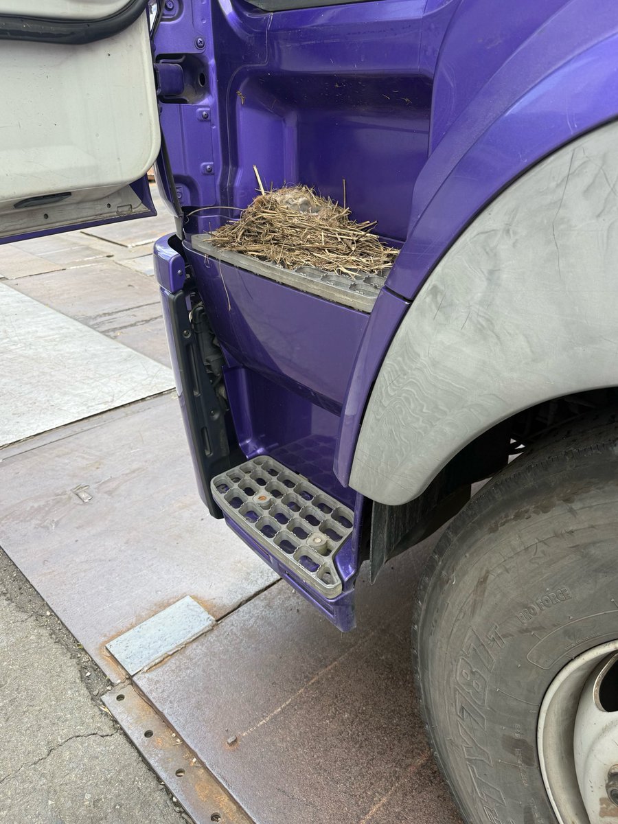 限界1or8副代表アツシ tweet media