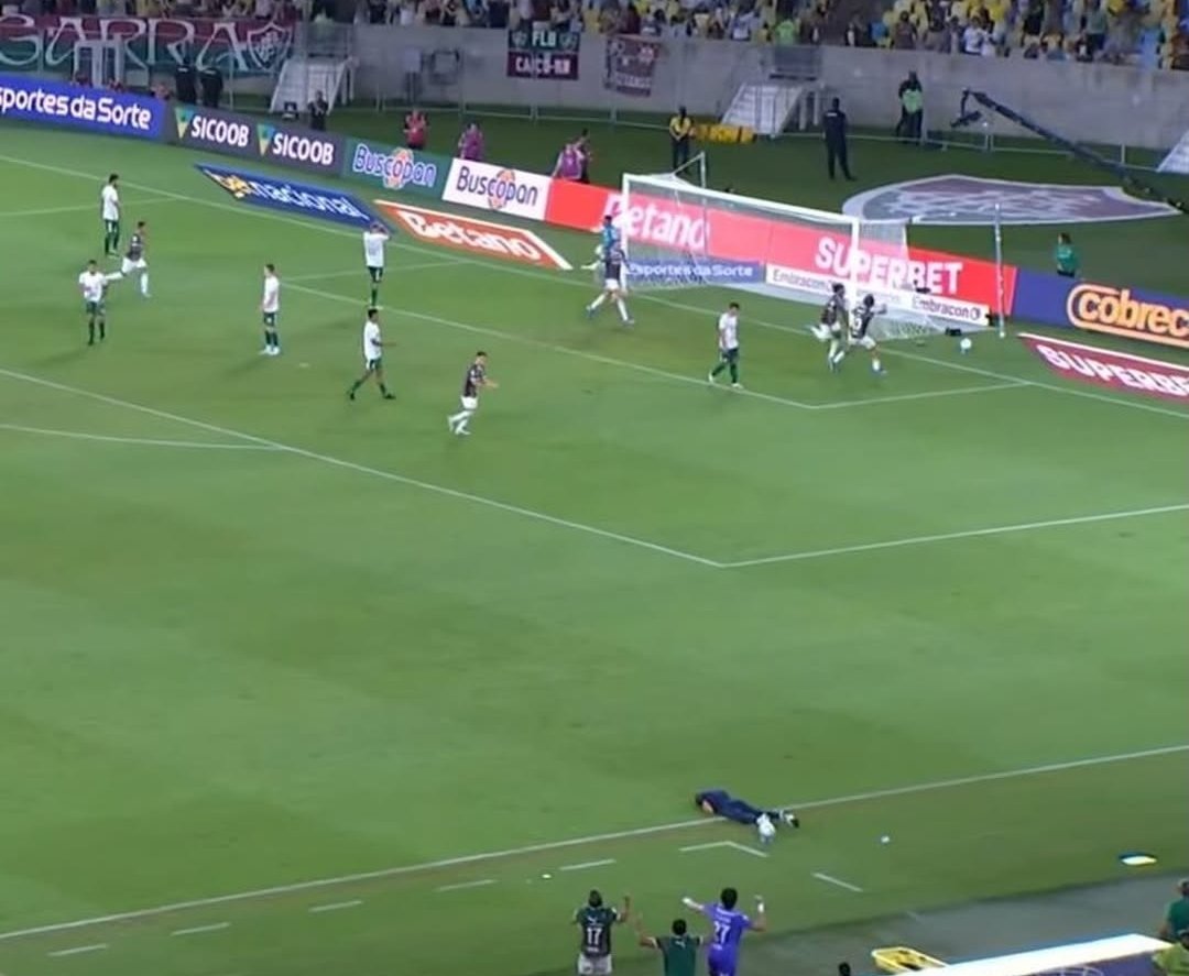 Marcello Neves tweet media