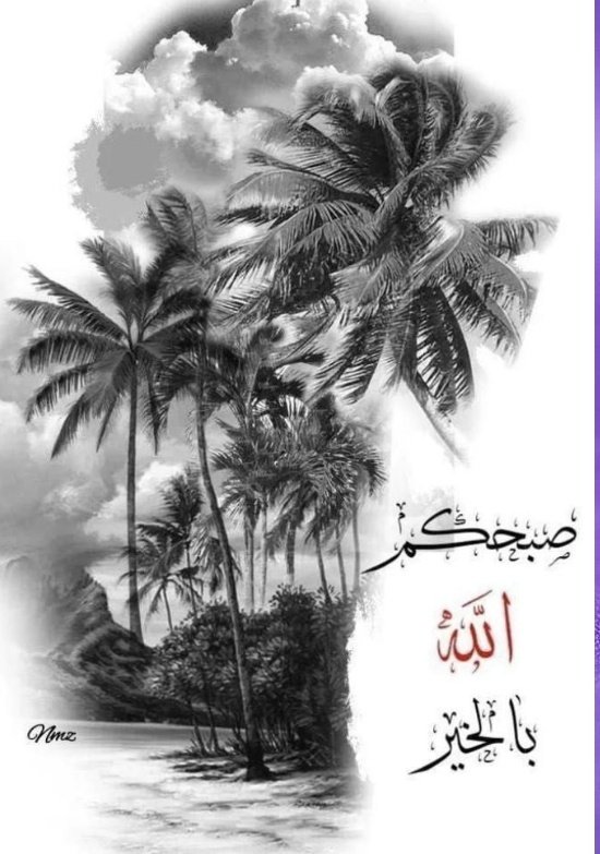 المزن 🇰🇼🇸🇦 💛سحر الطبيعه tweet media