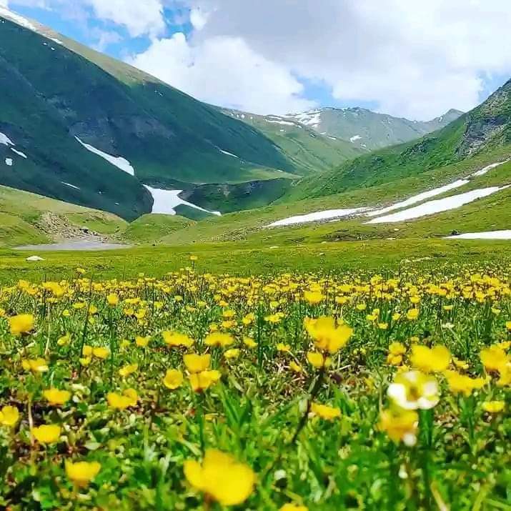 Ha70858Hanif's tweet image. یہ اپر کوہستان کی سوپٹ ویلی ہے—قدرت کا شاہکار، جھیلیں، آبشاریں اور سبز قالین جیسی زمین! مگر افسوس، خیبر پختونخواہ حکومت کے تیسرے دور میں بھی اس جنت کو نظر انداز کیا گیا۔
کب ملے گی اس خوبصورتی کو اس کا حق؟
#KPK #Tourism #UpperKohistan #PakistanBeauty