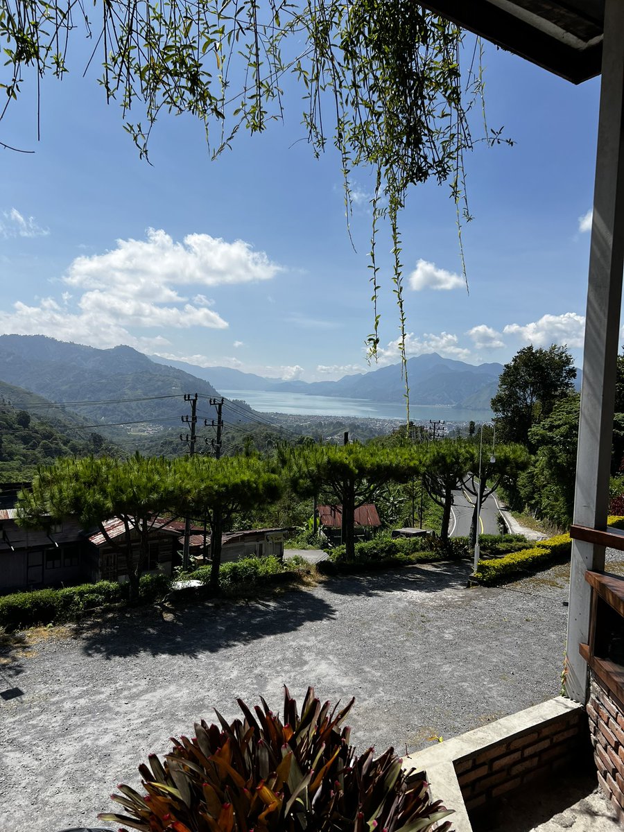 narkosun tweet media