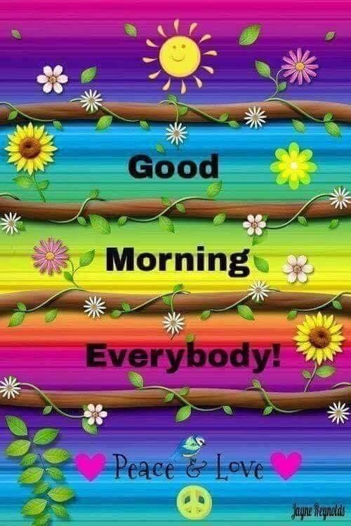 ☮️George wilson💛 tweet media