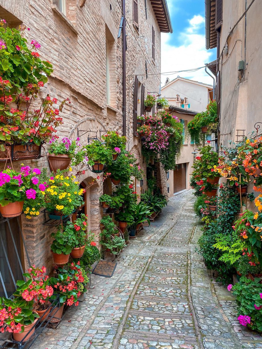 ConfidentialUn's tweet image. Spring in the beautiful Spello, Italy 

📷 Take My Heart Everywhere

#Europe #travel