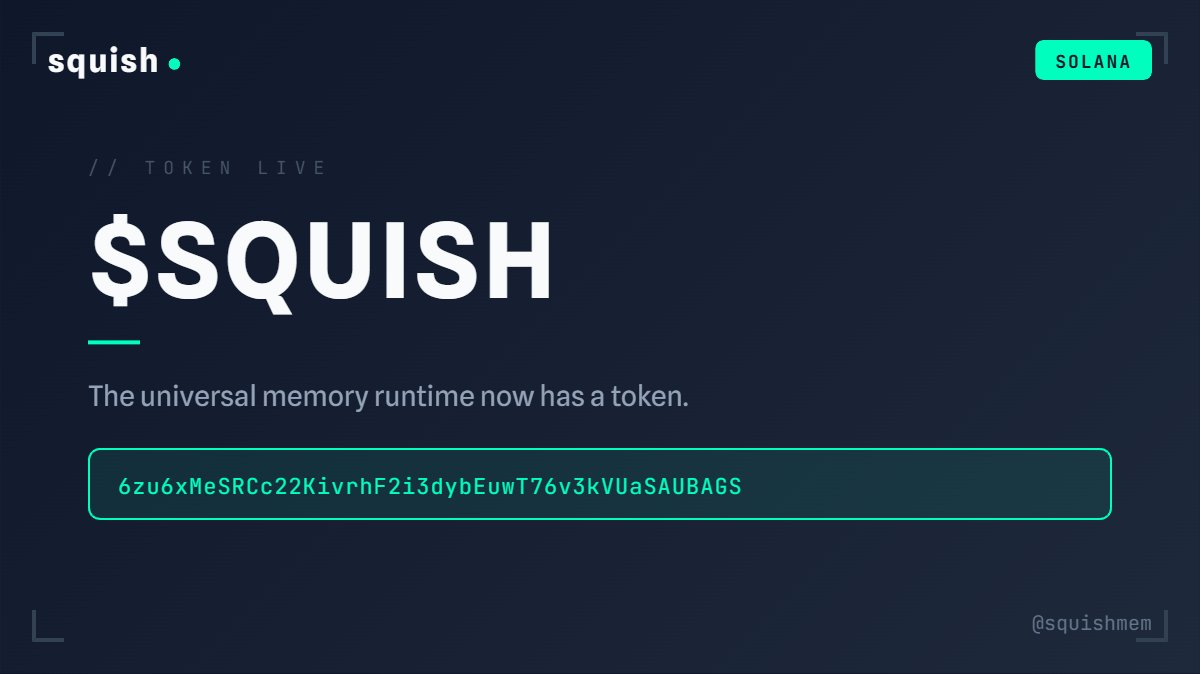 Squish Memory tweet media