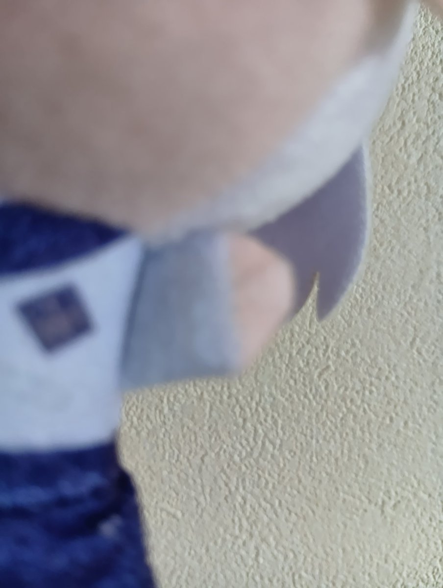 ひげわし tweet media