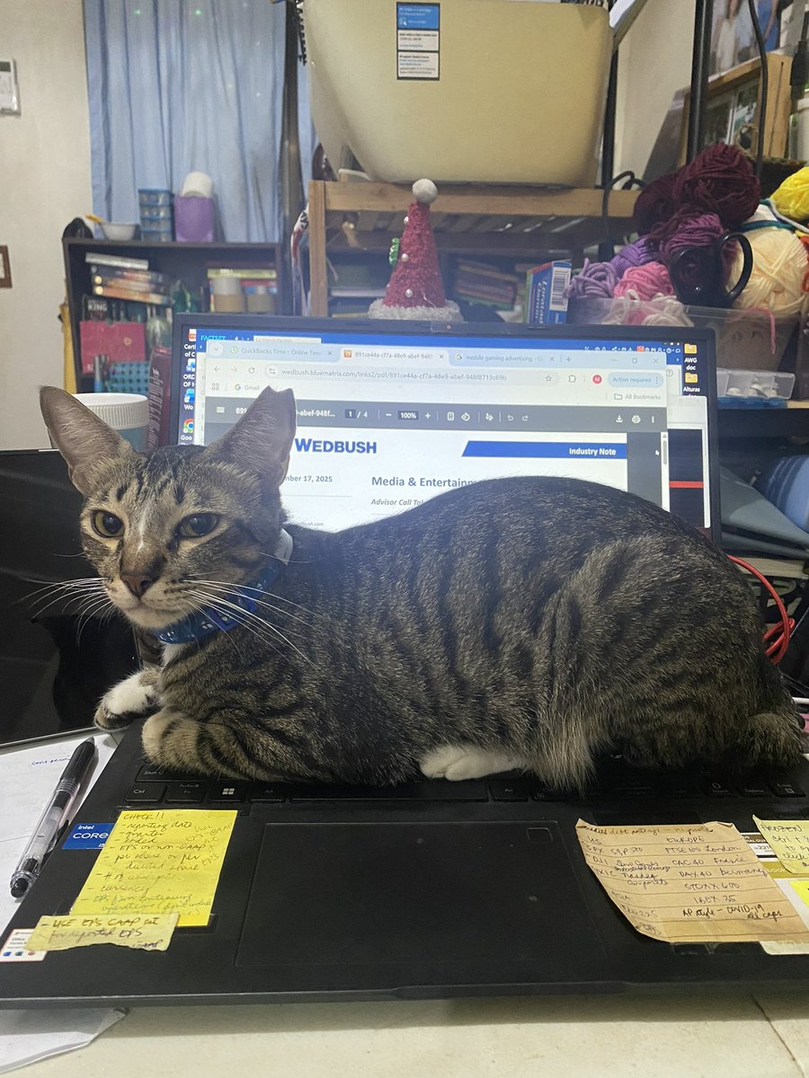 maritesvillamor's tweet image. Who needs an app when you’ve got the real thing sitting on your keyboard?
#cats #catoftheday #appwithcat