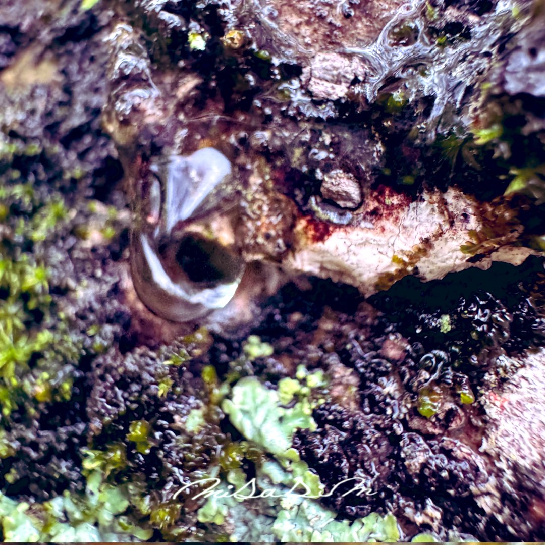 i_am_misasim's tweet image. #雨の日 #写真好きな人と繋がりたい #キリトリセカイ #iPhoneせかい