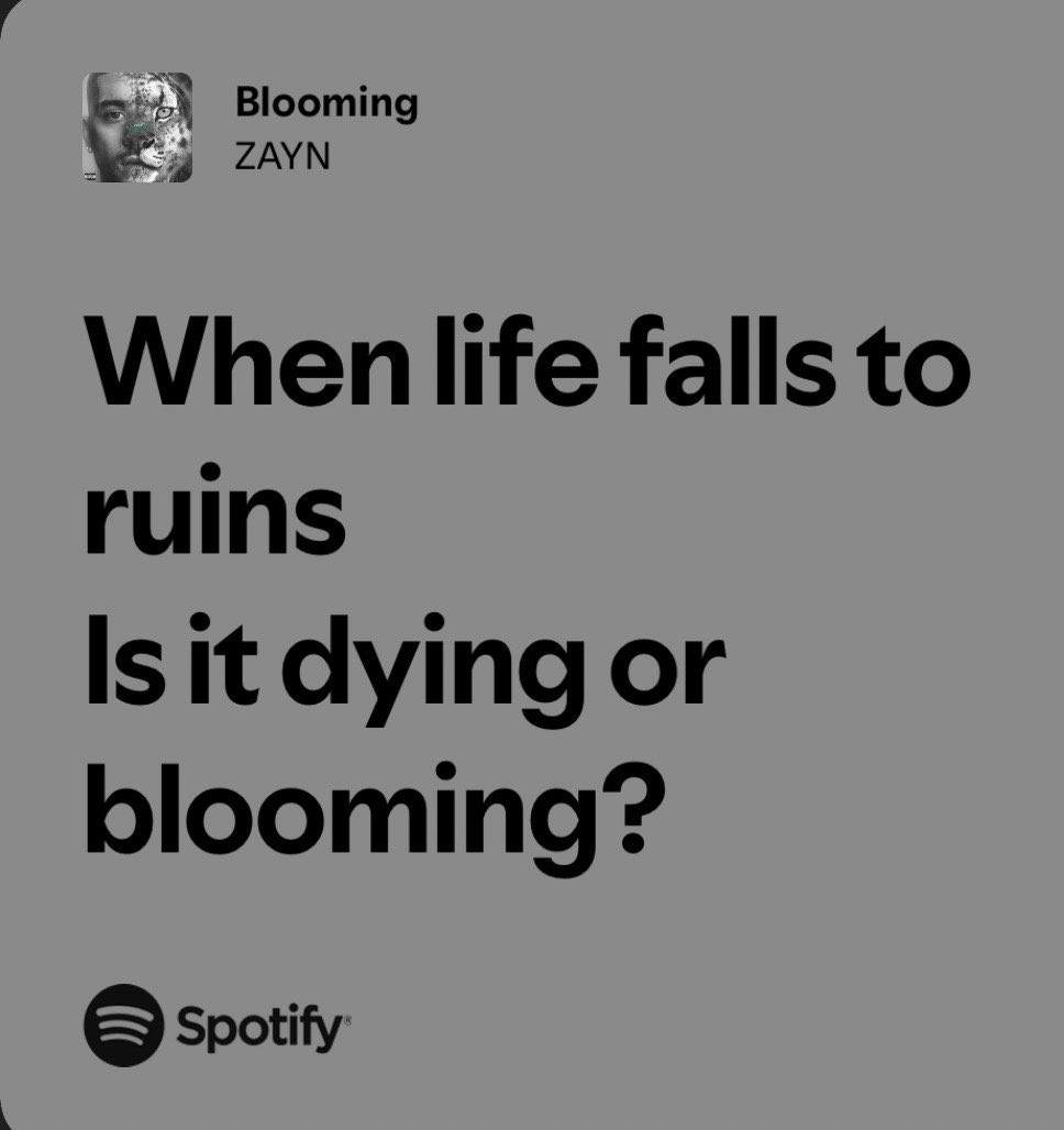 ari 𓃮 tweet media