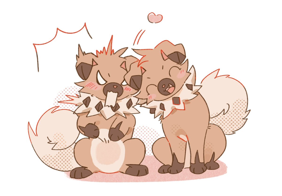 세쾅이 / セクァンイ tweet media