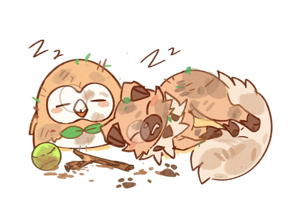 세쾅이 / セクァンイ tweet media