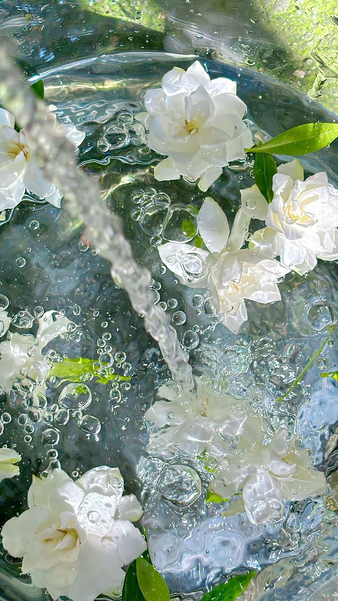 Timothy Anderson tweet media