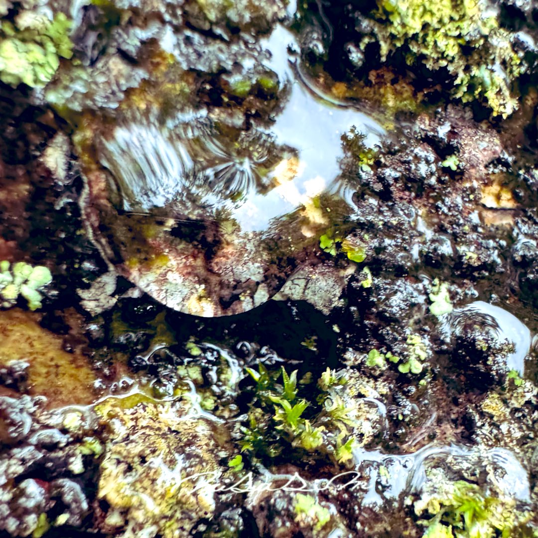 i_am_misasim's tweet image. #雨の日 #写真好きな人と繋がりたい #キリトリセカイ #iPhoneせかい

保