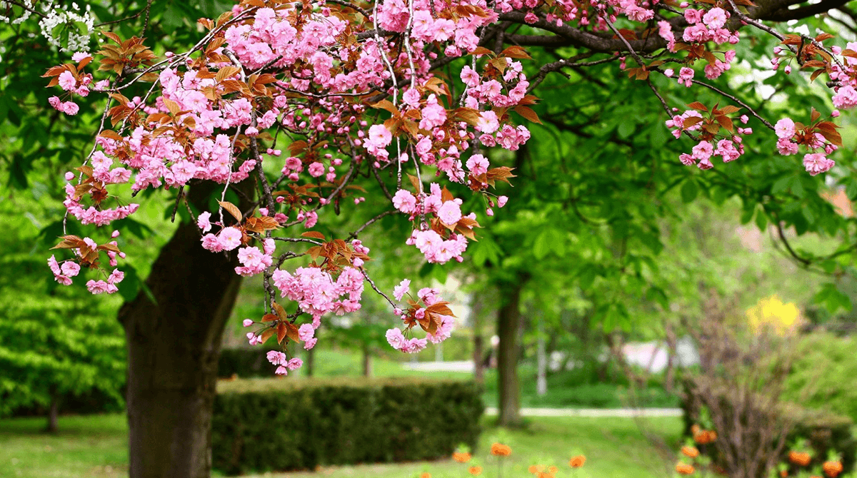 zmay_maya's tweet image. #mondaythoughts #mondaymotivation #coffee 
Happy Monday, people ☕️☕️🌸🌿🌼🌿 ...have a beautiful day 🌸🌿🌼🌿 ...stay safe 🌸🌿🌼🌿😊