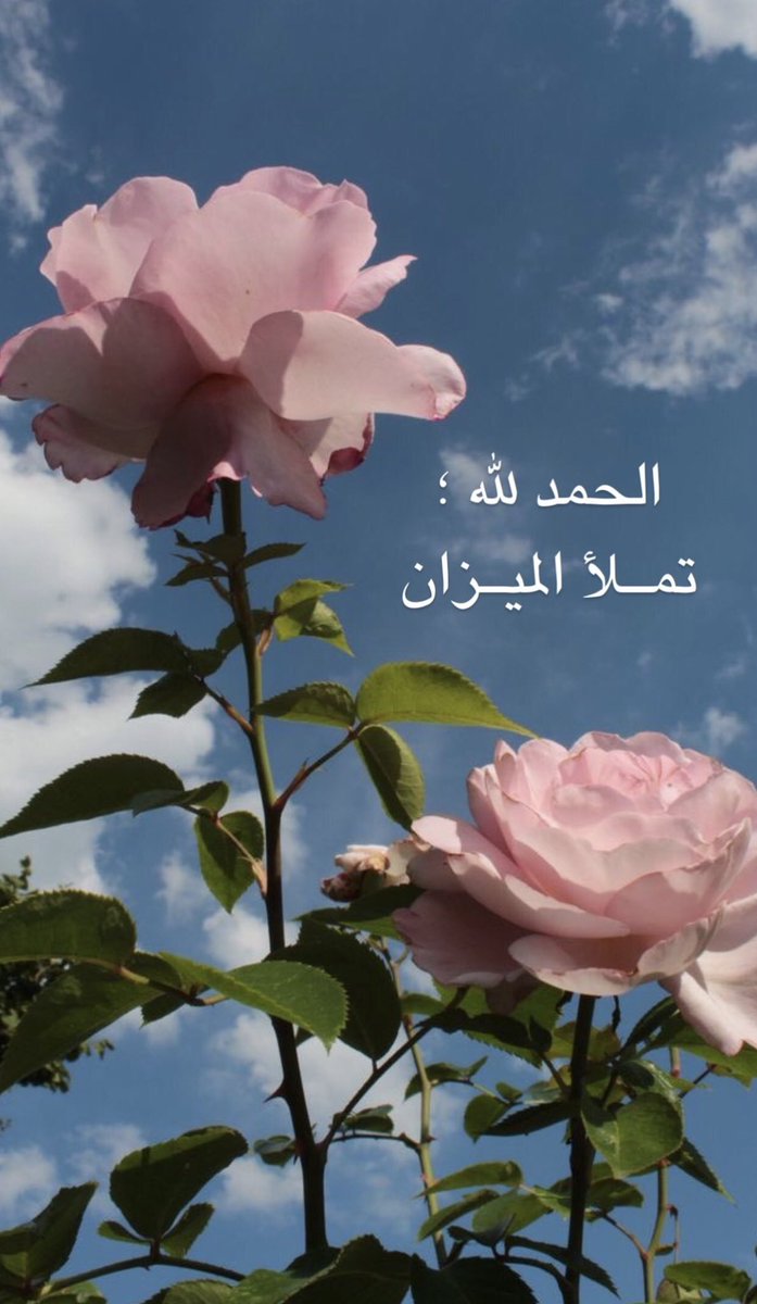 𝐅𝐚𝐭𝐢𝐦𝐚 tweet media