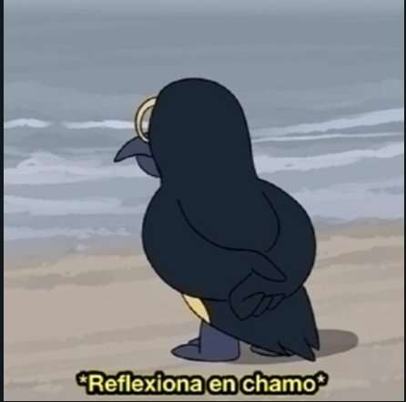 Shadowless🍃 tweet media