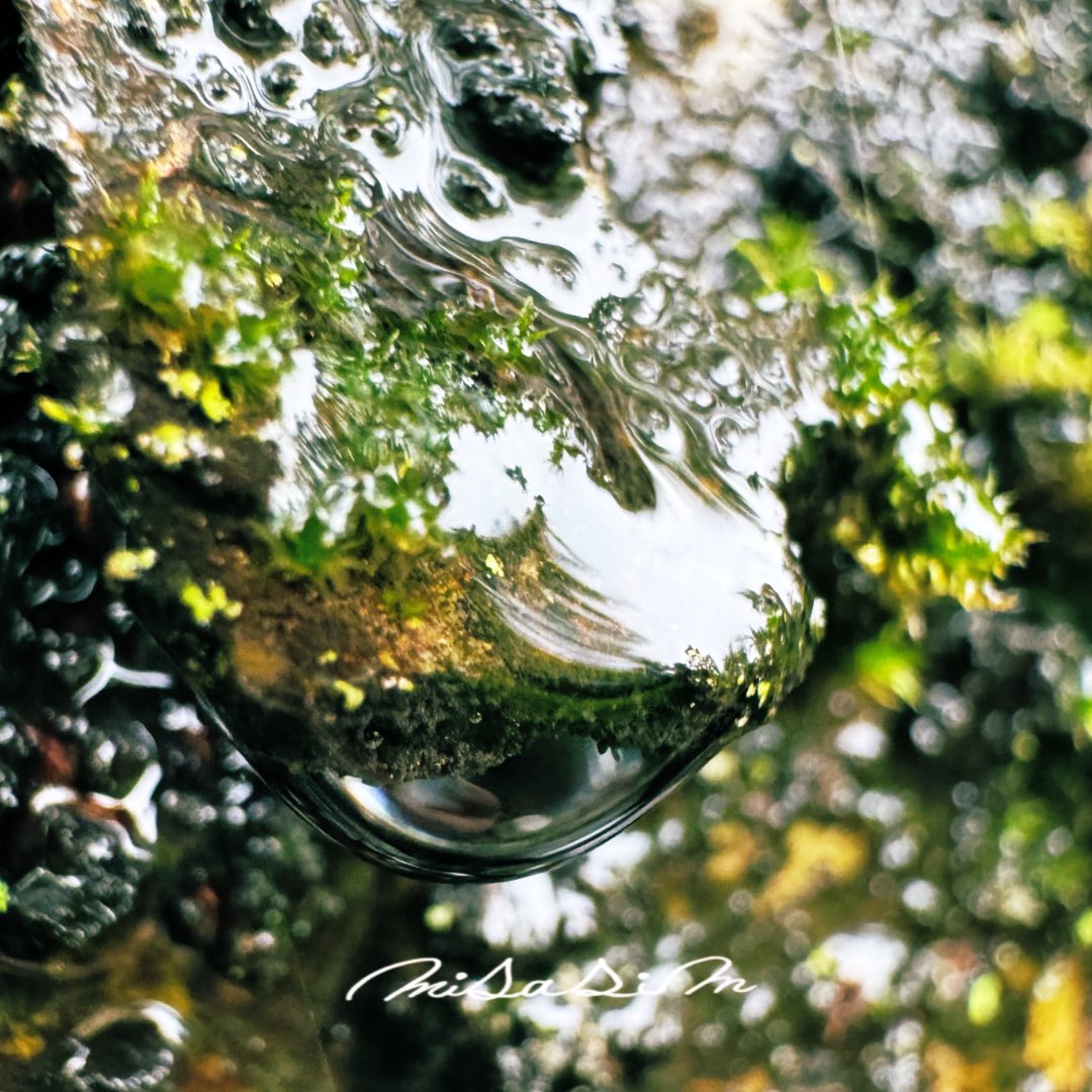 i_am_misasim's tweet image. #雨の日 #写真好きな人と繋がりたい #キリトリセカイ #iPhoneせかい

溜