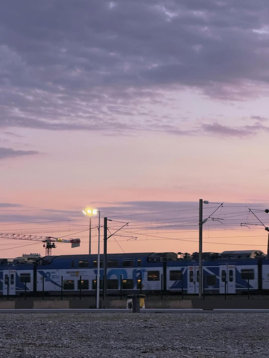 WeiShenV📸 tweet media