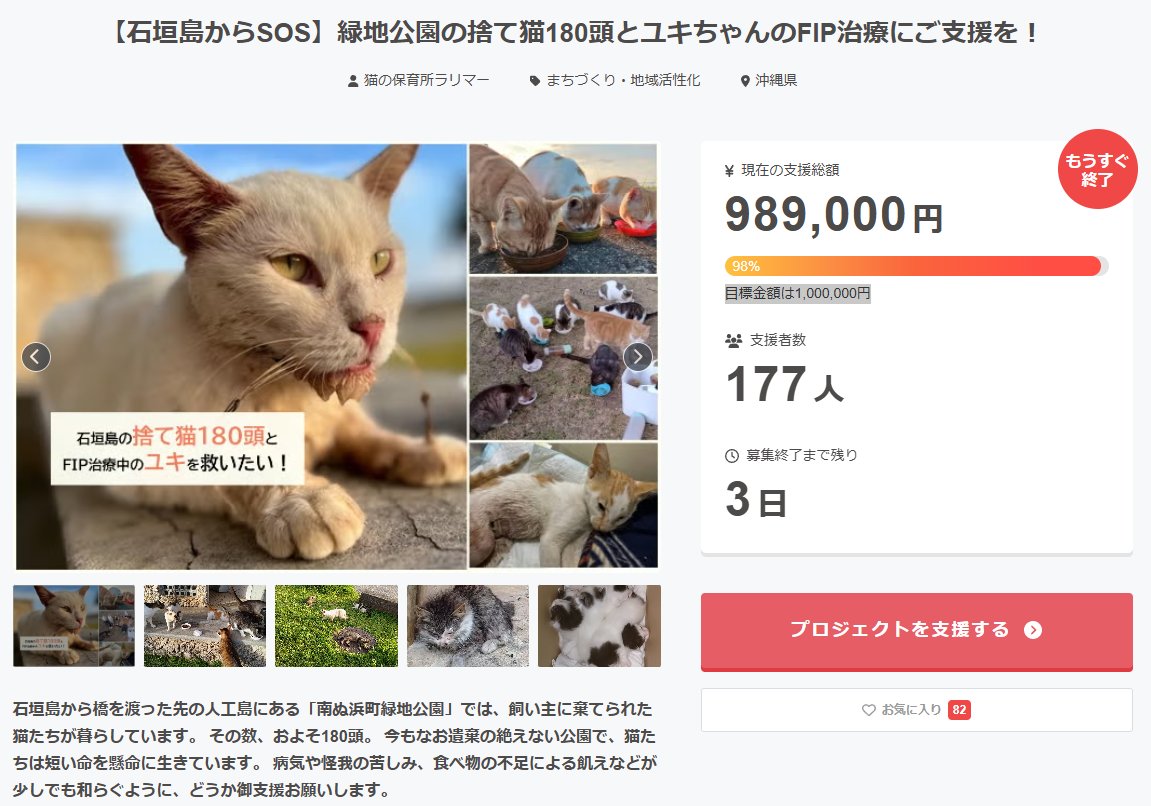 CATNURSERYLARI1's tweet image. 【拡散希望】クラウドファンディングあと３日！
ameblo.jp/nekonoie1/entr…

あと11,000円で達成です。
拡散・御支援よろしくお願いします！
#クラウドファンディング #CAMPFIRE #石垣島 #拡散希望