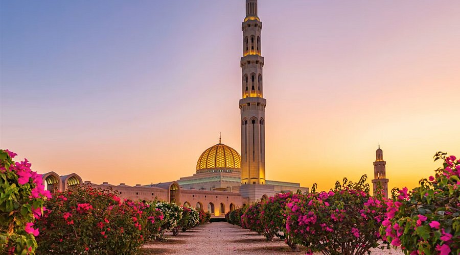 Kevin Collins tweet media