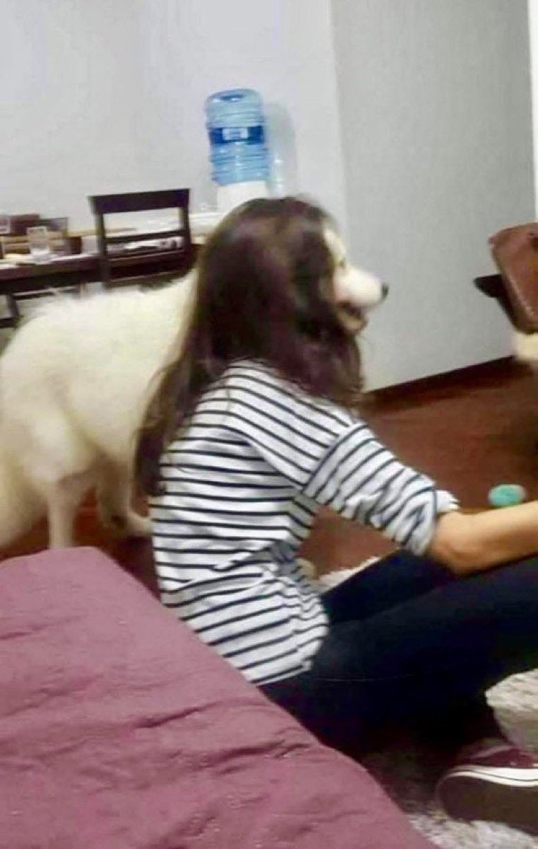 進撃のバズ動画 tweet media