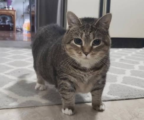 Tinki always Spinki tweet media