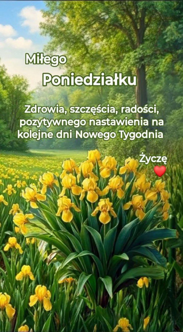 Zbigniew Czerniecki tweet media