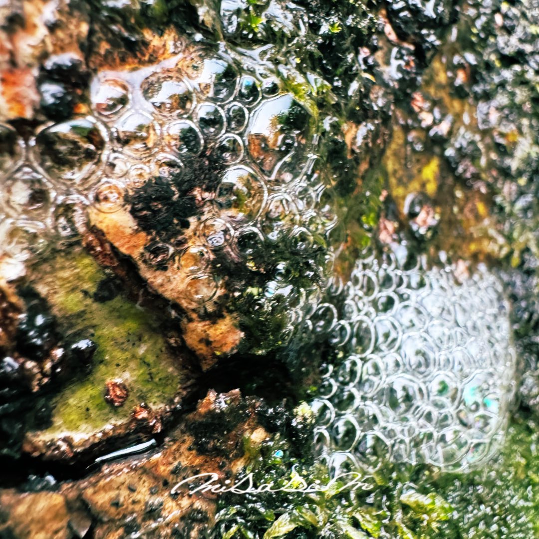 i_am_misasim's tweet image. #雨の日 #写真好きな人と繋がりたい #キリトリセカイ #iPhoneせかい

雨の日の不思議
樹幹流