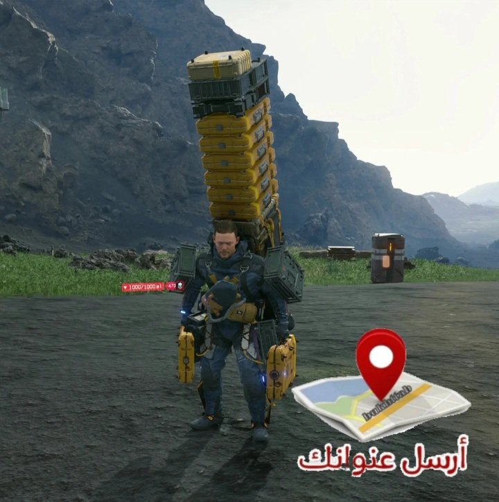 محمد tweet media