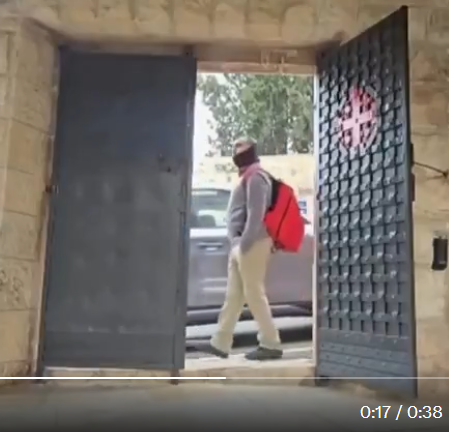 Natalie Bédard 🍉🌻🌿 tweet media