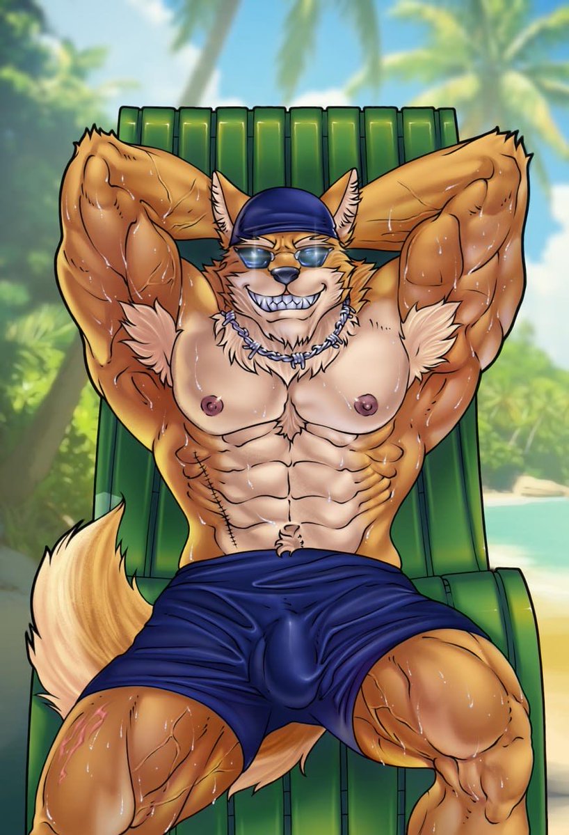 Wolfplot tweet media