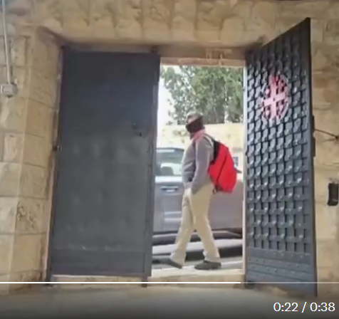 Natalie Bédard 🍉🌻🌿 tweet media