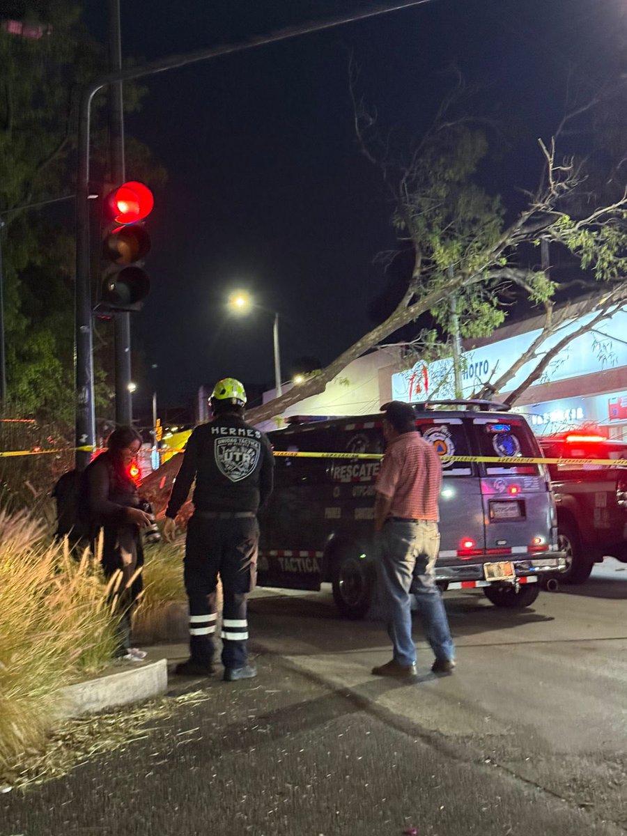 liyeny's tweet image. @AlcaldiaMHmx  @mauriciotabe esto pasa cuando no c dan cuidados a camellones d Av Cuitláhuac / Mex-Tacuba y Mar Marmara Col. Popotla, no fueran los camellones d #Polanco lomas o bosques d las lomas porque ahí el riego es diario y aquí en todo loq va de 2026 ni gota 💧 #ecocidio