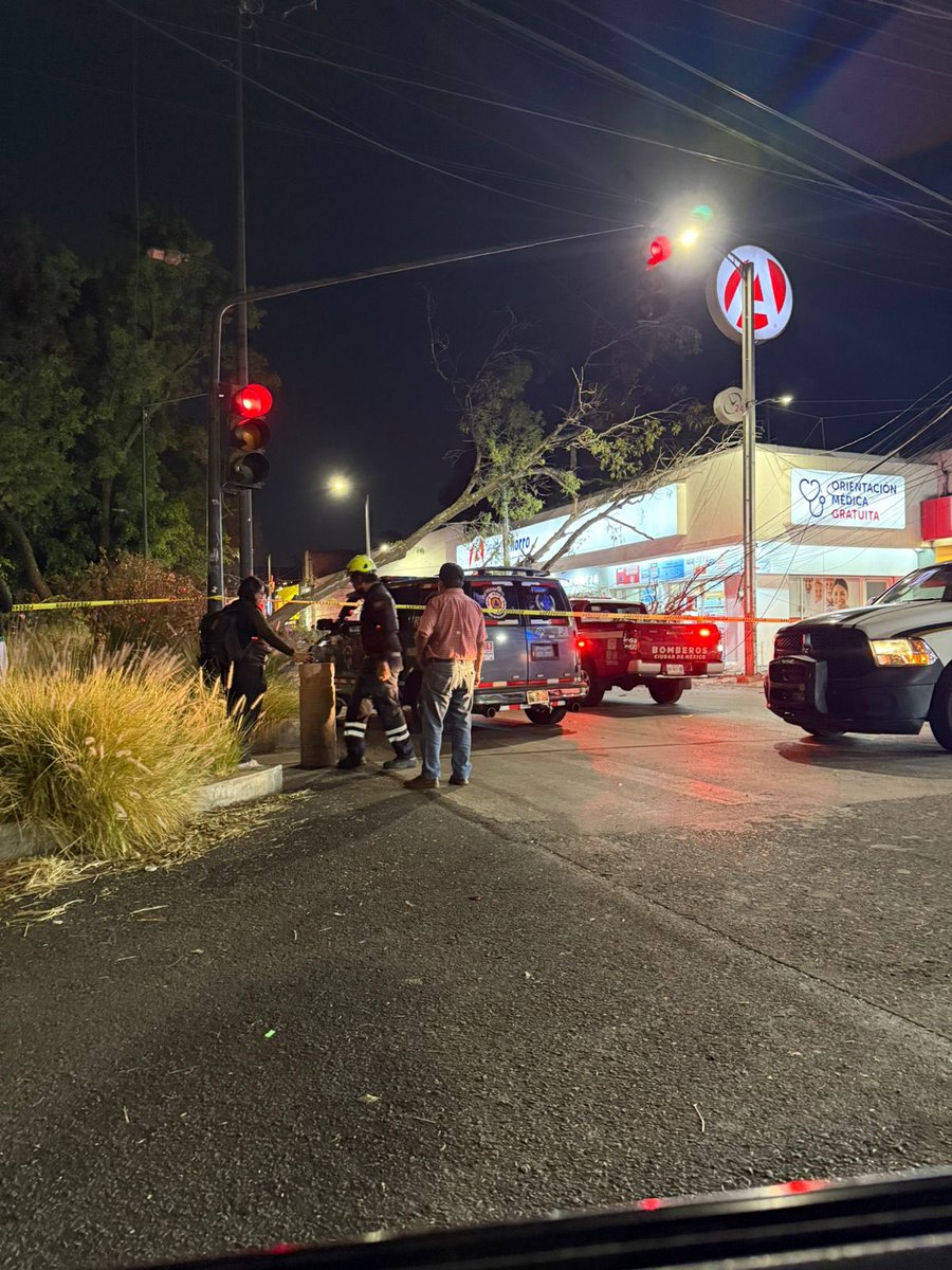 liyeny's tweet image. @AlcaldiaMHmx  @mauriciotabe esto pasa cuando no c dan cuidados a camellones d Av Cuitláhuac / Mex-Tacuba y Mar Marmara Col. Popotla, no fueran los camellones d #Polanco lomas o bosques d las lomas porque ahí el riego es diario y aquí en todo loq va de 2026 ni gota 💧 #ecocidio