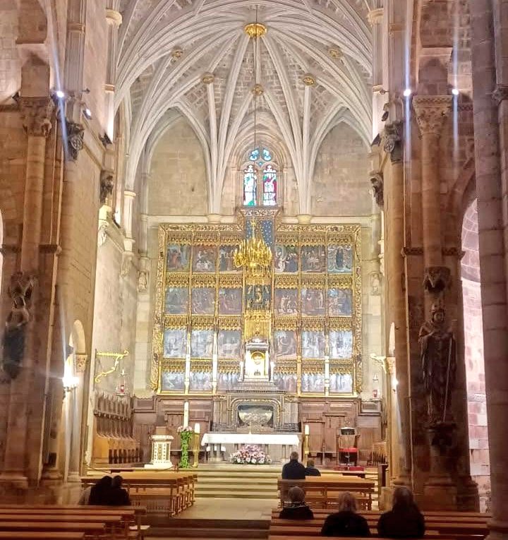 ORACIÓN DE LA MAÑANA
Lunes, 27 de abril

Hoy despertamos en Tu misericordia, Señor mío y Dios mío, no en nuestras fuerzas, sino en Tu gracia.

Todo lo que no hicimos bien, lo que nos pesó y lo que nos alejó, hoy lo dejamos en Tus manos.

Tú eres el Buen Pastor, el que llama y
