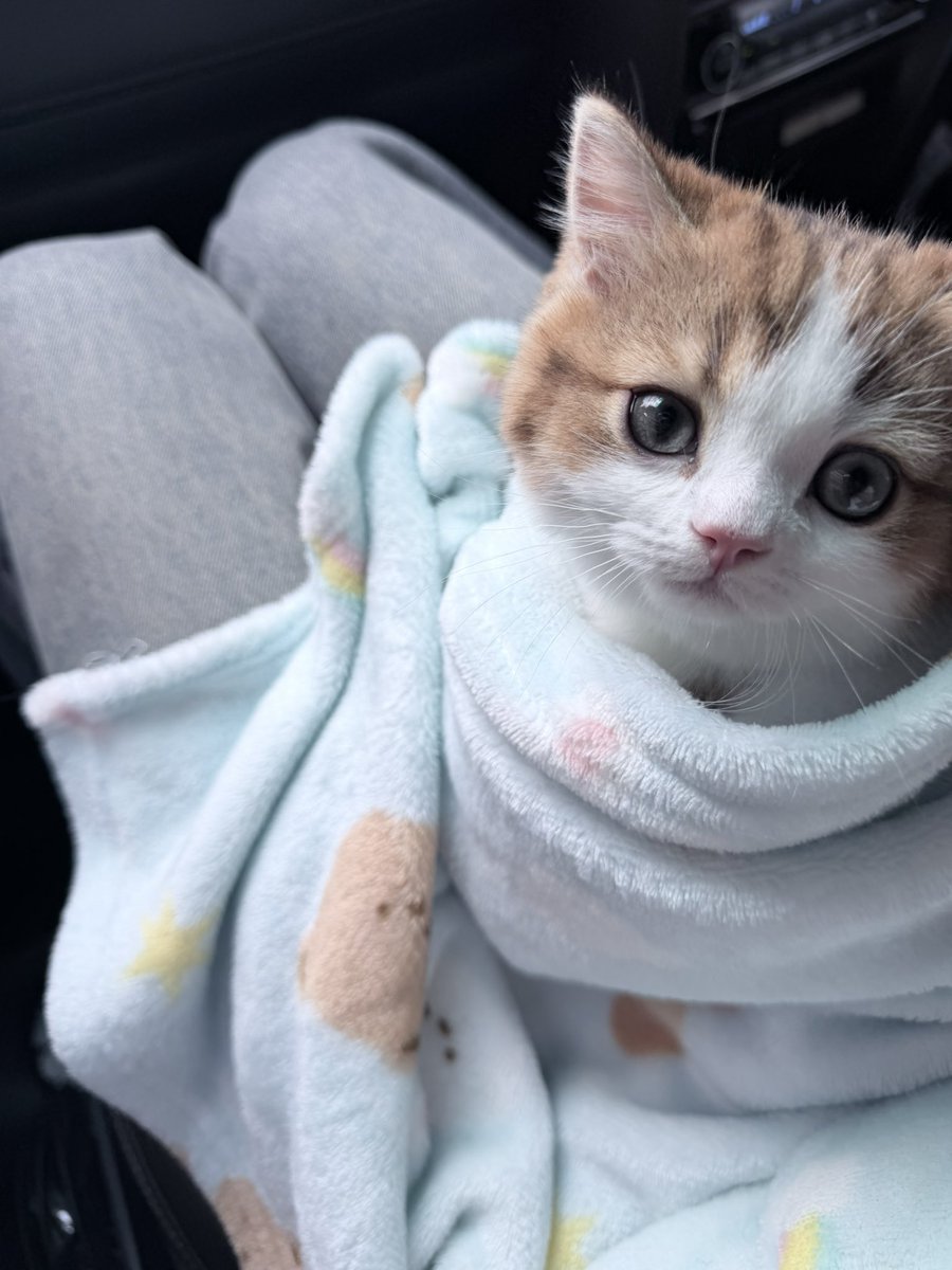 whoispluggy tweet media