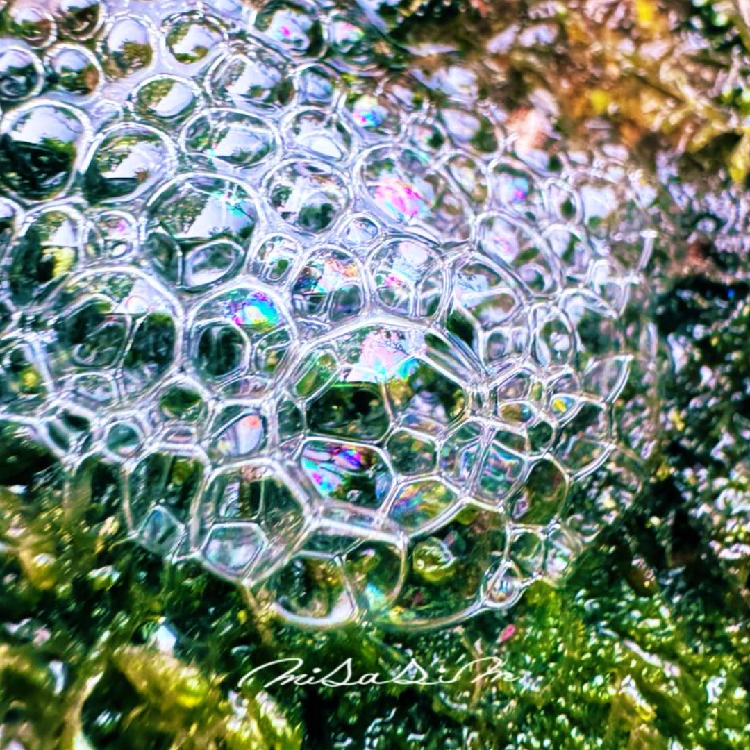 i_am_misasim's tweet image. #雨の日 #写真好きな人と繋がりたい #キリトリセカイ #iPhoneせかい

#樹幹流

樹幹流に魅力を感じる
滅多に見れない雨の日の不思議

いや、不思樹。