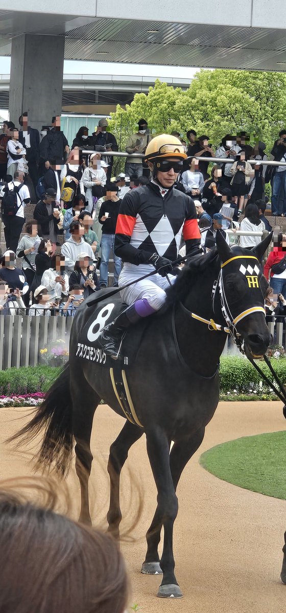 昨日は京都競馬場で放牧楽しみました。
リフレッシュしたので、今日からまた頑張って7月公演「マクベス」に向かい合いたいと思います。
#見なよ俺の推しを
