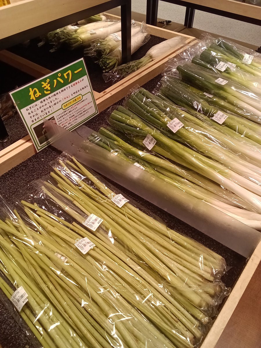 どまんなかマルシェ イオンモール小山店 tweet media