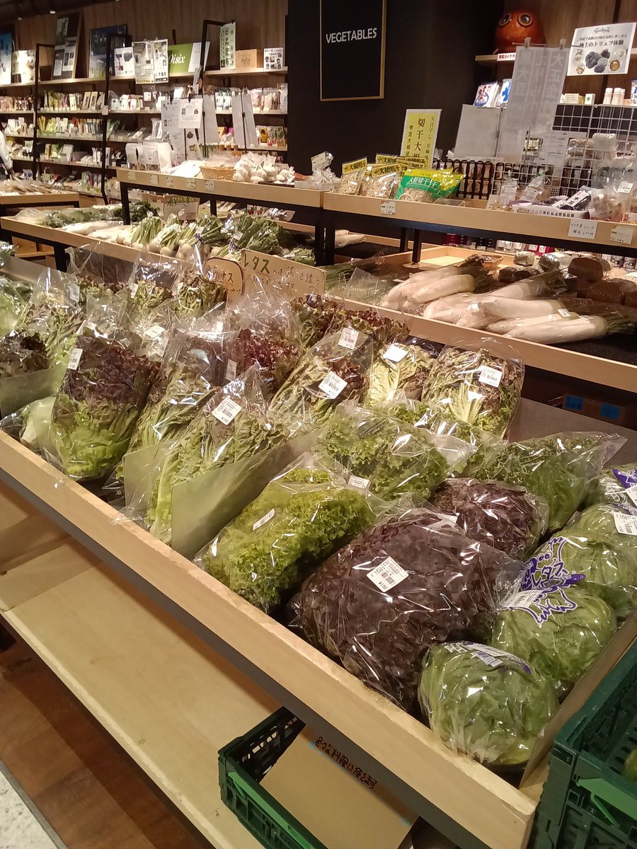 どまんなかマルシェ イオンモール小山店 tweet media