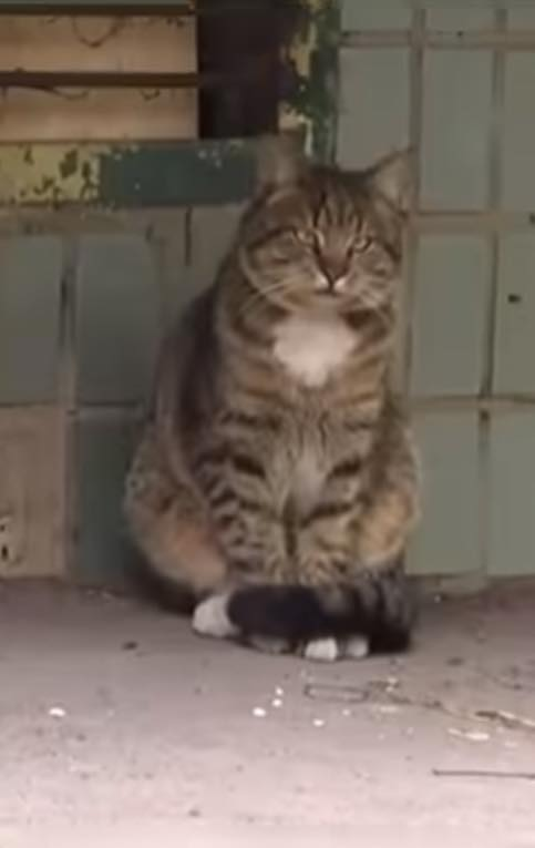 БыльБылева tweet media