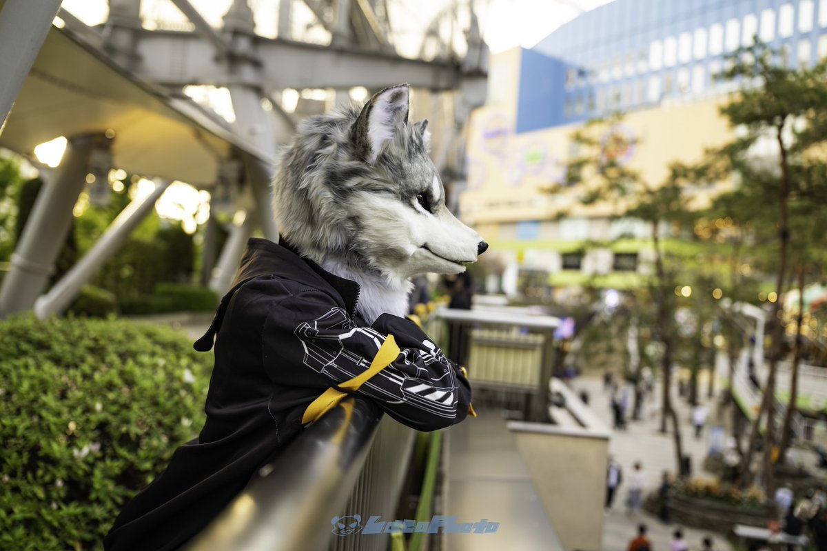 Lilia Starglow tweet media