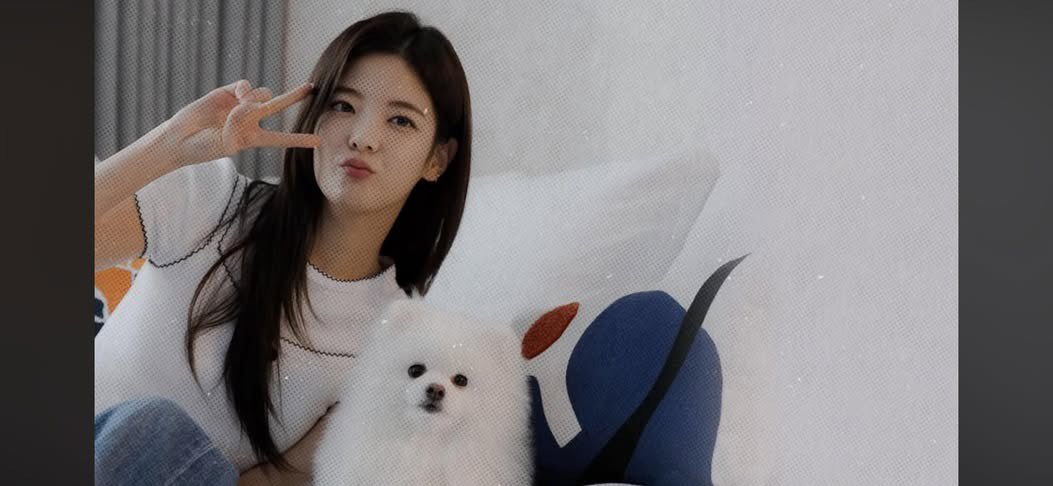 류딘 Din ≷ tweet media