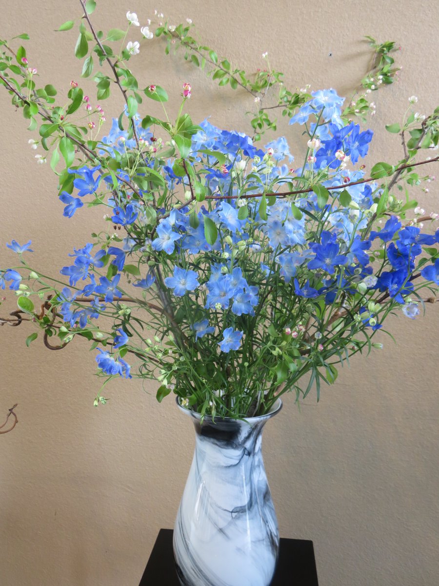 ukaimuseum's tweet photo. 今週のエントランスの花です。SPデルフィニウム（メインの青い花）、ズミ（ヒメリンゴの仲間で、赤い小花）、キウイのつるの3種類です。#鵜飼　#うかいミュージアム　#エントランスの花 https://t.co/eGDZI5MgUQ