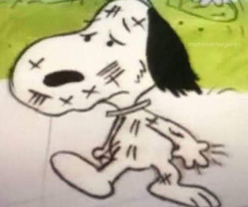 diego cc tweet media