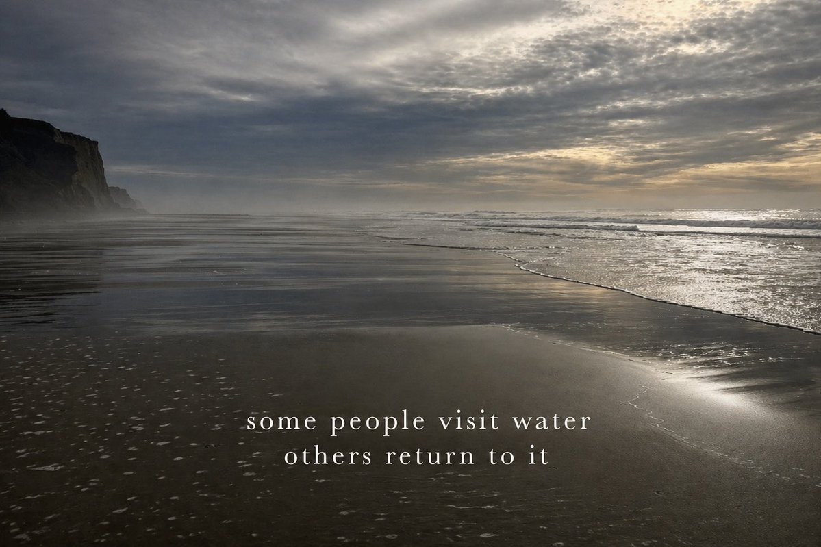 Maggie Lyn OMartin tweet media