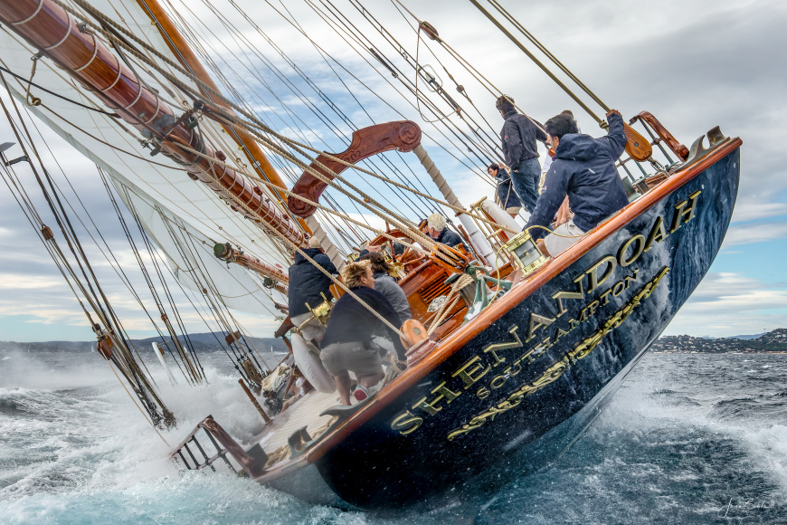 DelightMoments_'s tweet image. #sailing