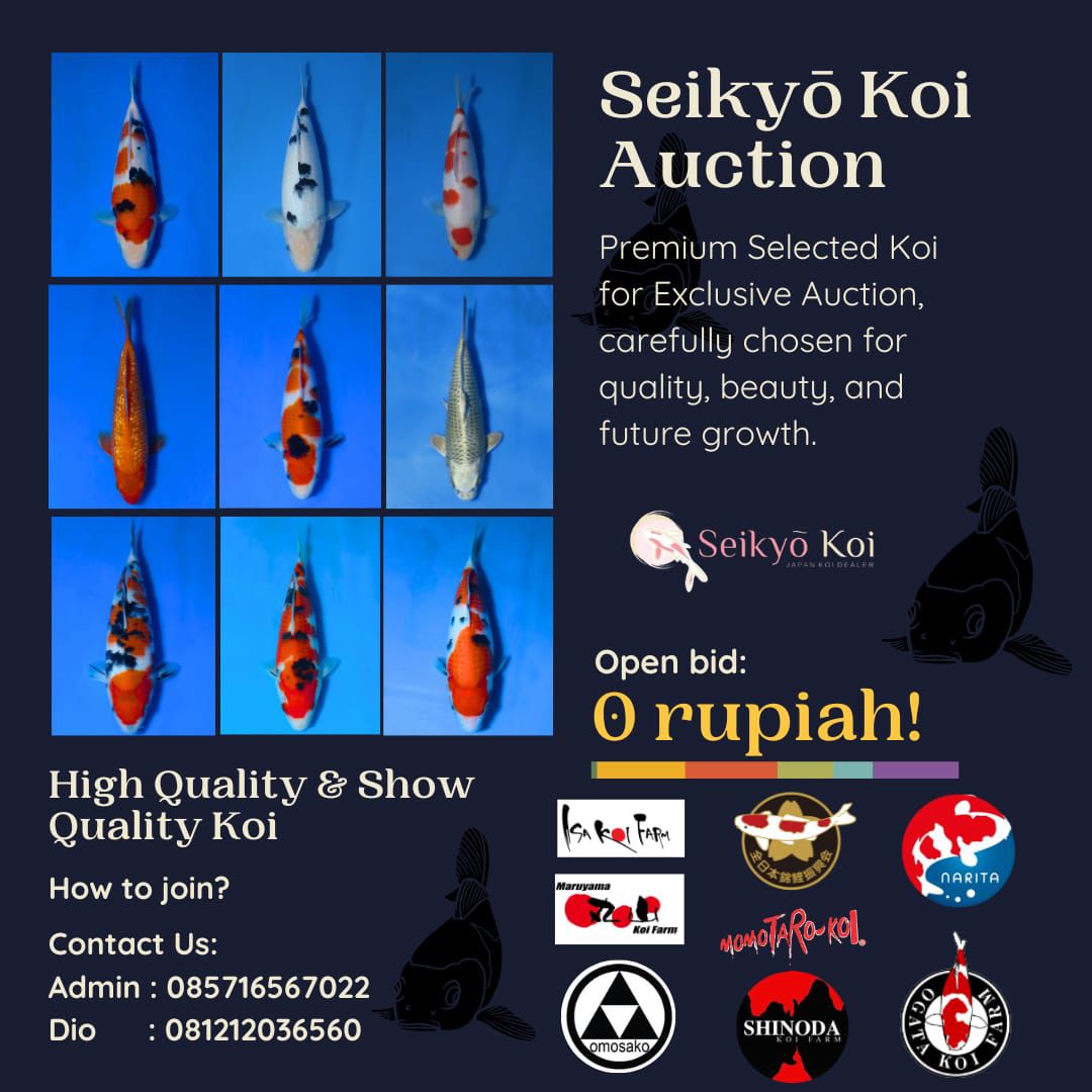 Seikyō Koi tweet media